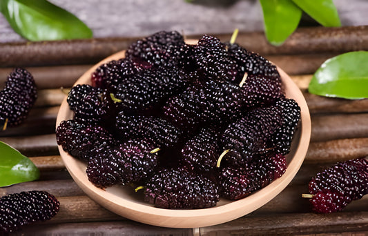 Mulberry Kabali