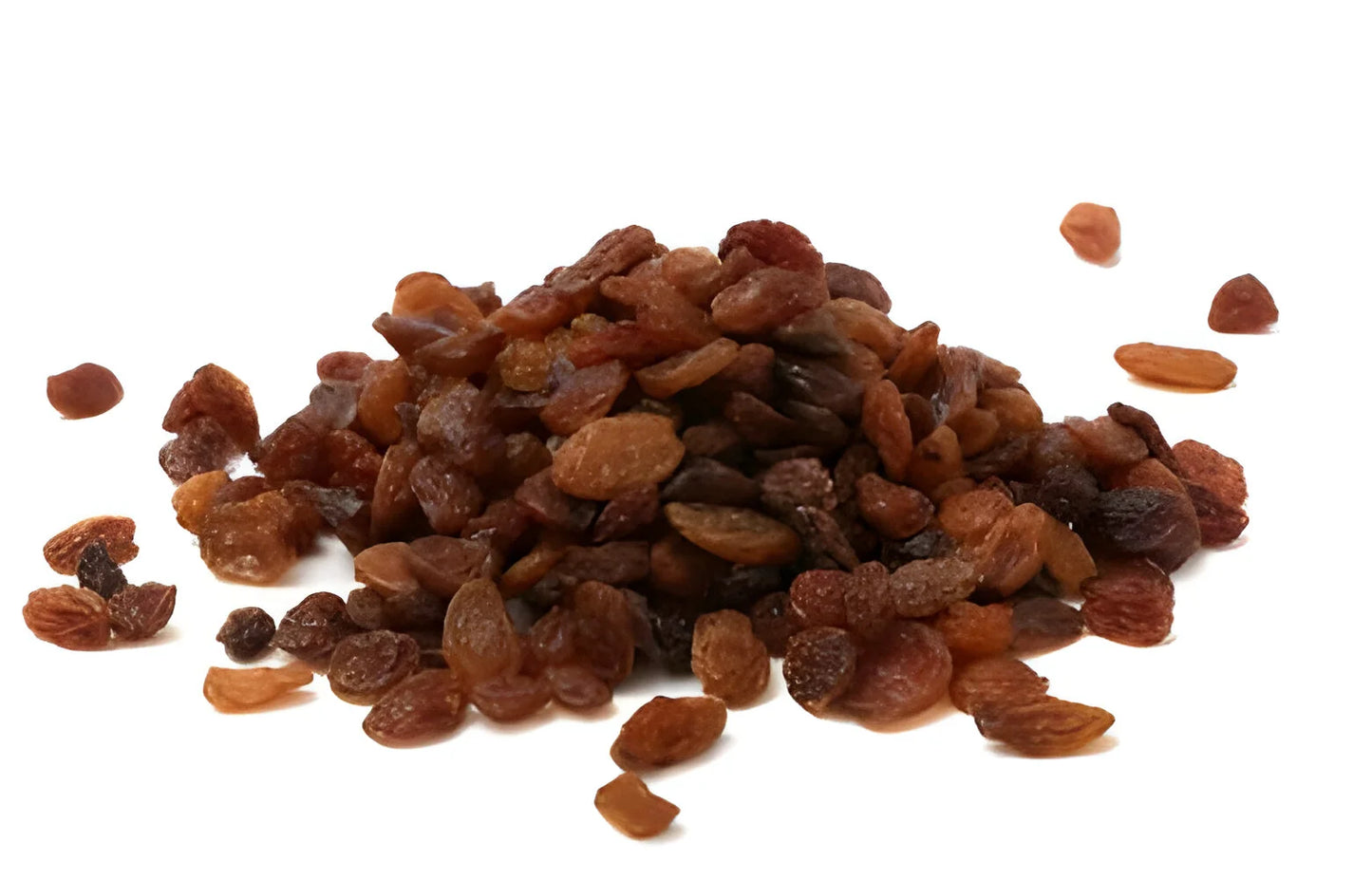 Raisin Shundukhani